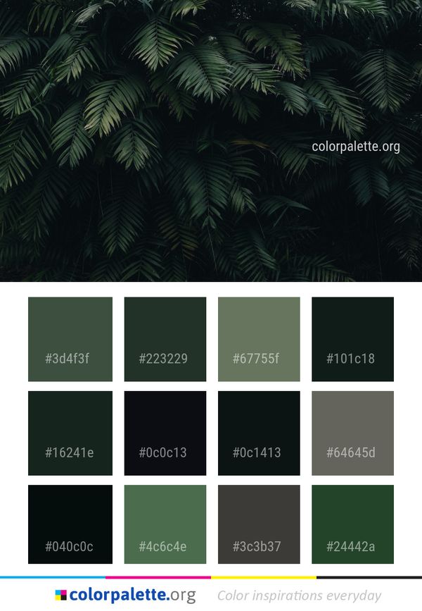 Vegetation Leaf Tree Color Palette