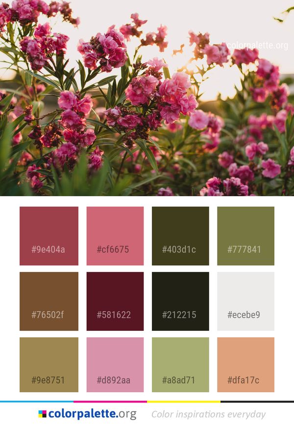 Flower Plant Pink Color Palette