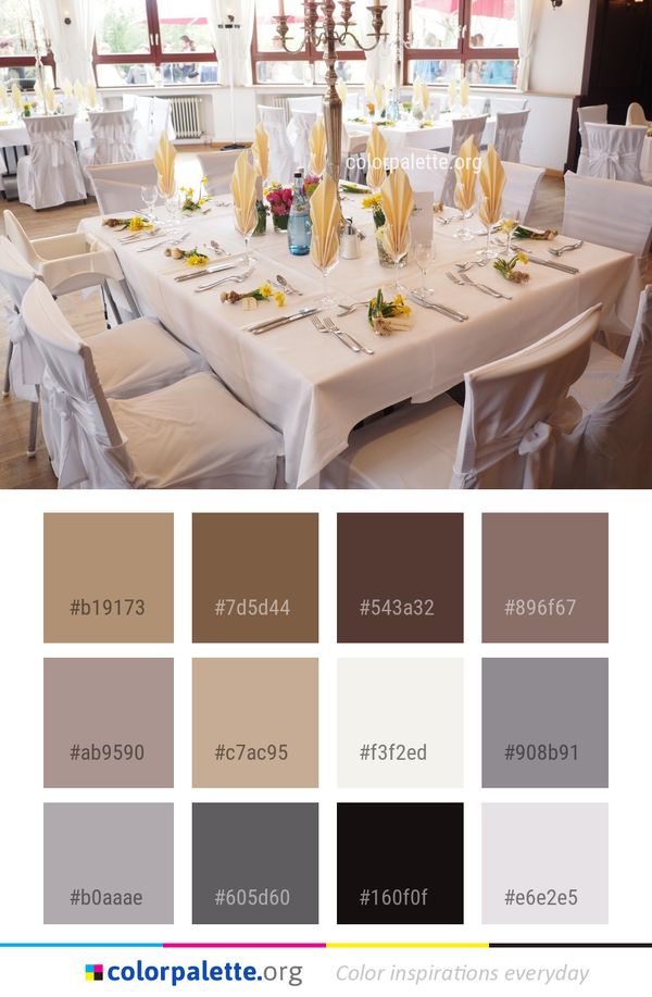 Function Hall Tablecloth Table Color Palette