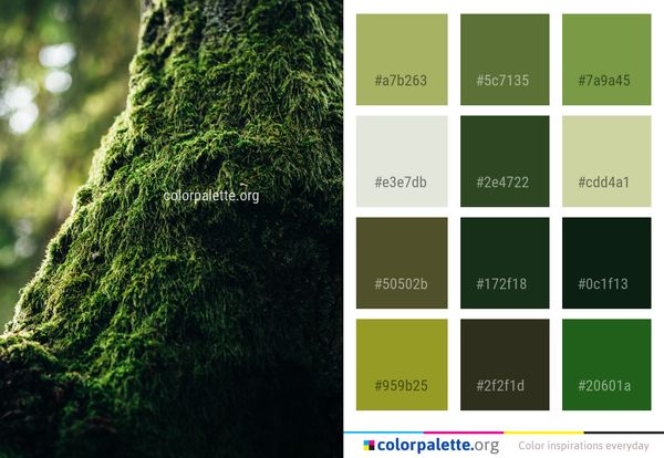 Green Vegetation Nature Color Palette