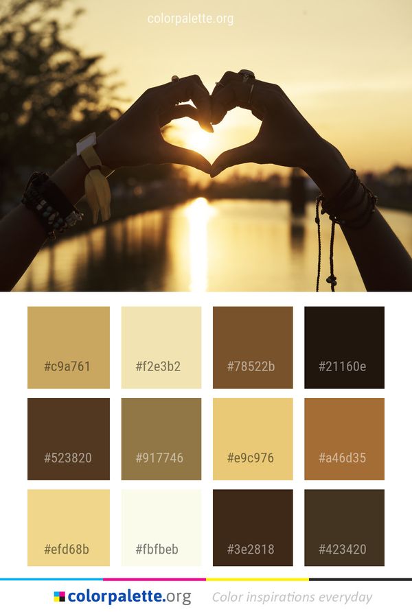 Hand Light Sun Color Palette