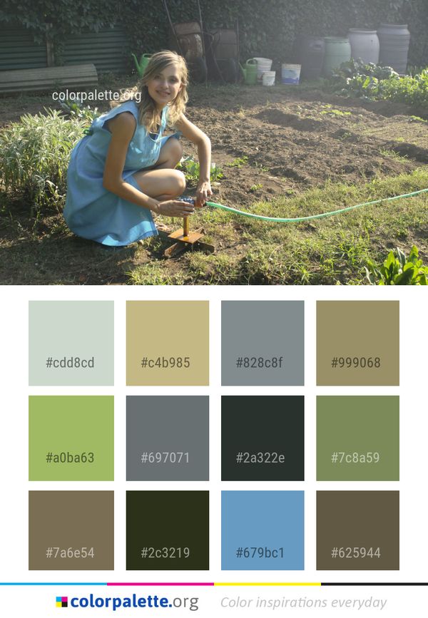 Plant Green Grass Color Palette