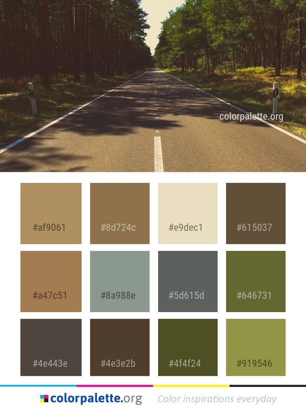 Road Path Lane Color Palette