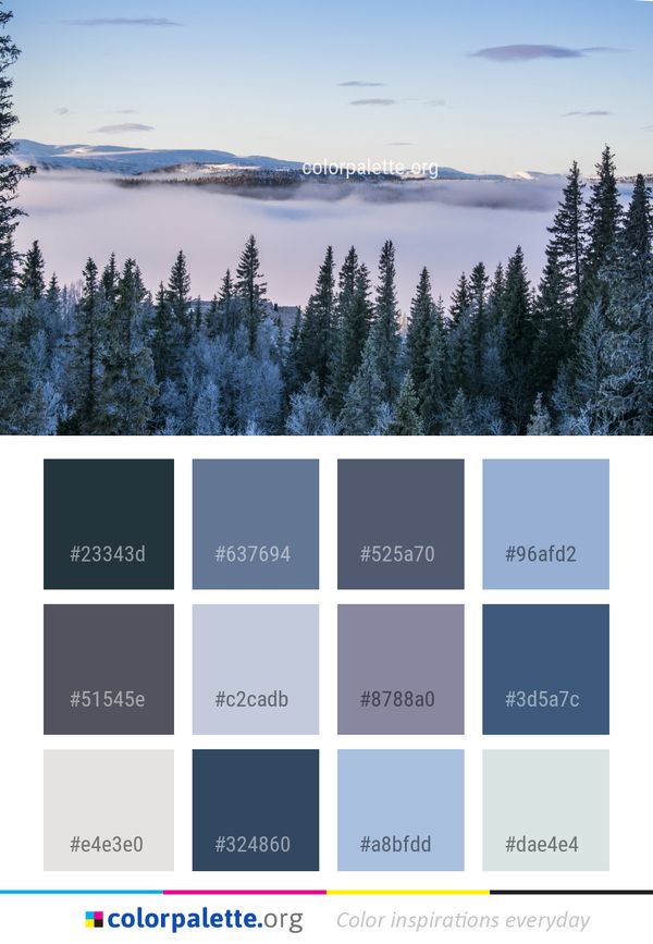 Sky Nature Winter Color Palette