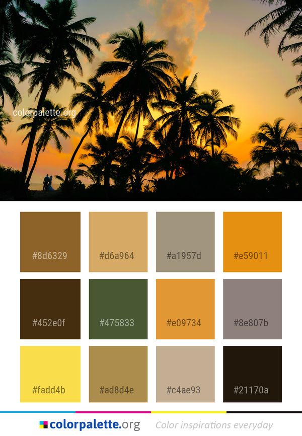 Sky Palm Tree Color Palette