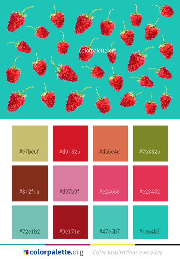 Strawberry Strawberries Fruit Color Palette