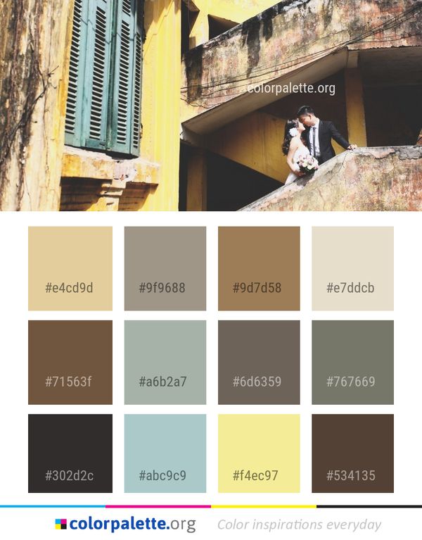 Wall Facade Window Color Palette
