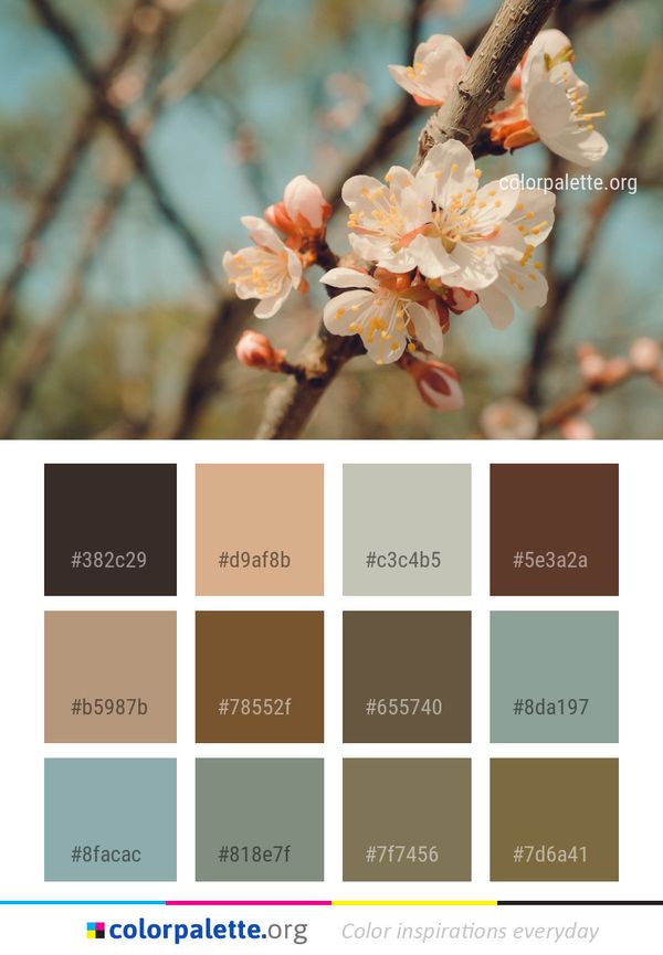 Blossom Spring Flower Color Palette