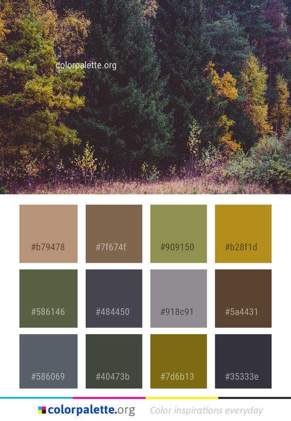 Ecosystem Nature Vegetation Color Palette