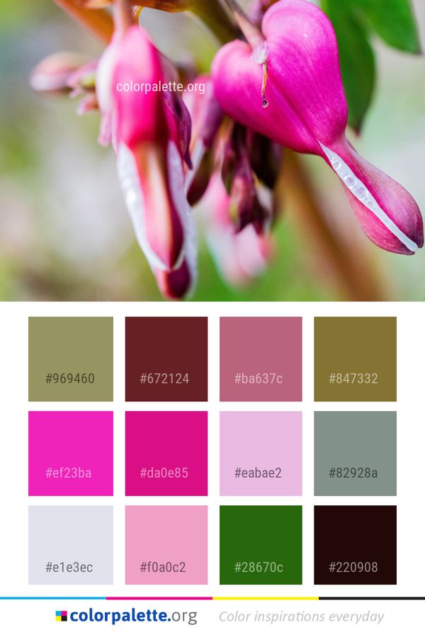 Flower Flora Pink Color Palette