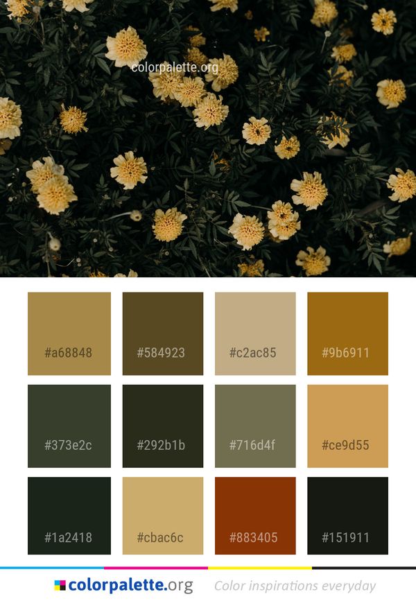 Flower Yellow Plant Color Palette