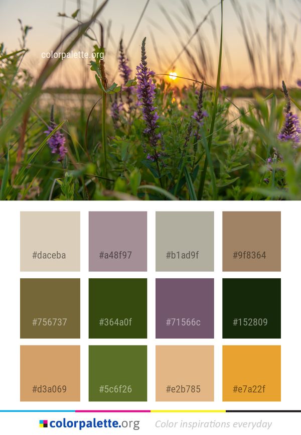 Plant Flower Flora Color Palette