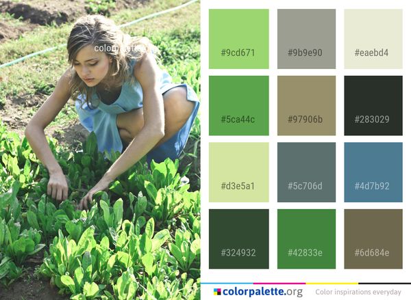 Plant Garden Leaf Color Palette