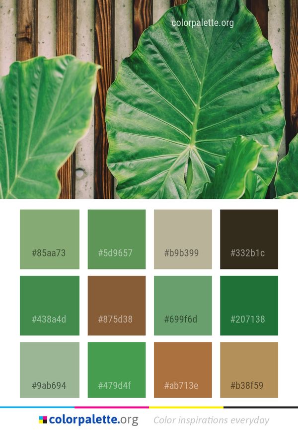 Plant Leaf Green Color Palette