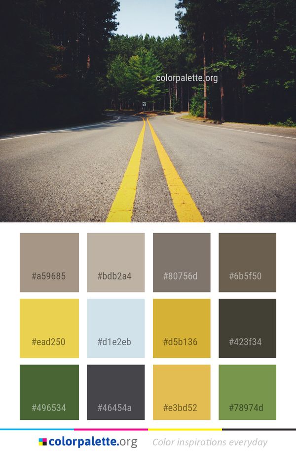 Road Lane Asphalt Color Palette