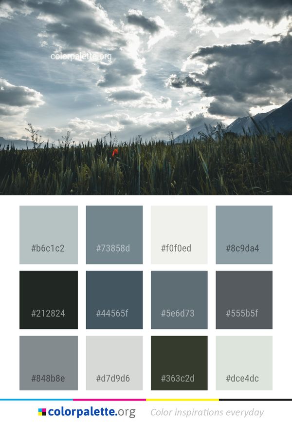 Sky Cloud Ecosystem Color Palette