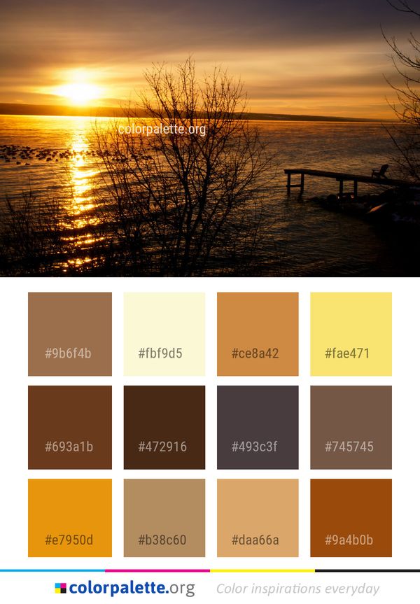 Water Sky Sunset Color Palette