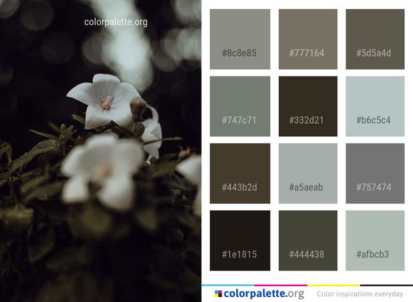 White Flower Flora Color Palette
