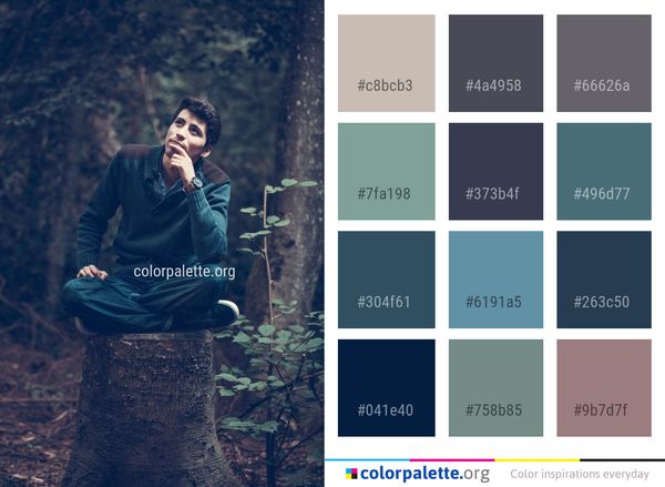 Blue Nature Photograph Color Palette