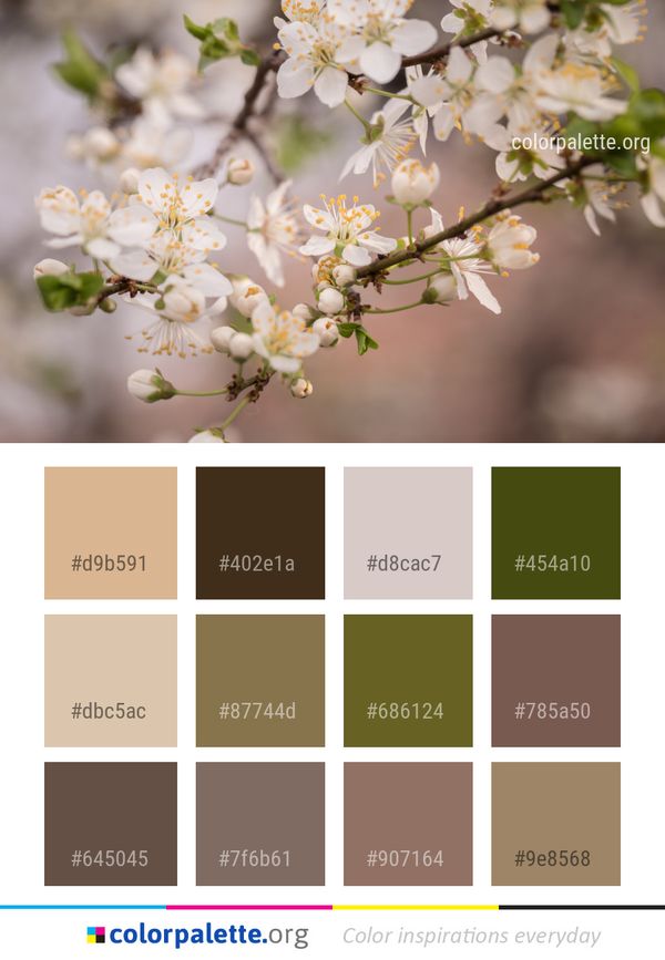 Flower Blossom Spring Color Palette