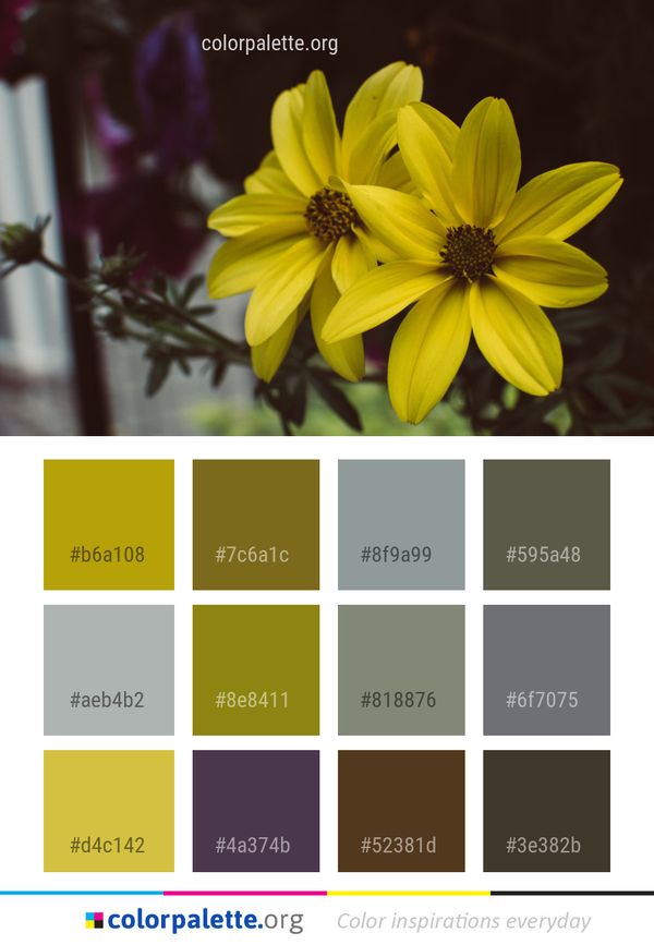 Flower Yellow Flora Color Palette