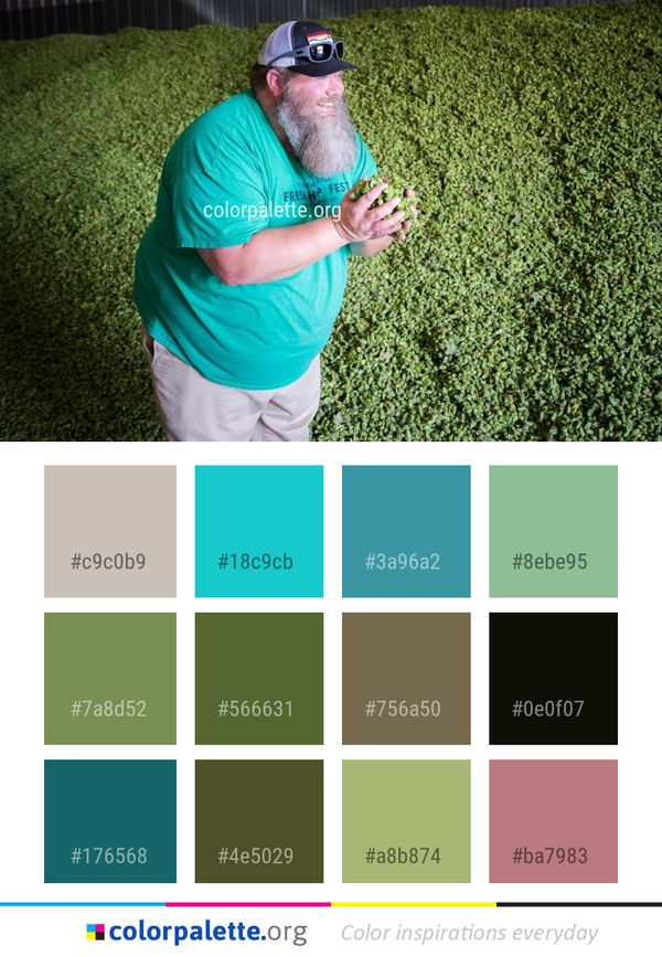 Green Grass Plant Color Palette