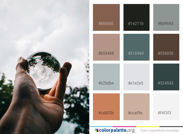 Hand Sky Tree Color Palette