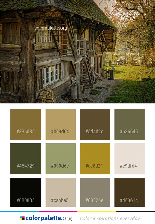 House Log Cabin Home Color Palette