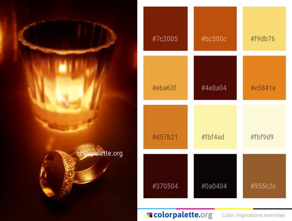 Lighting Still Life Photography Macro Color Palette