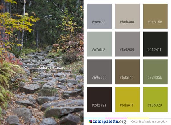 Nature Leaf Water Color Palette
