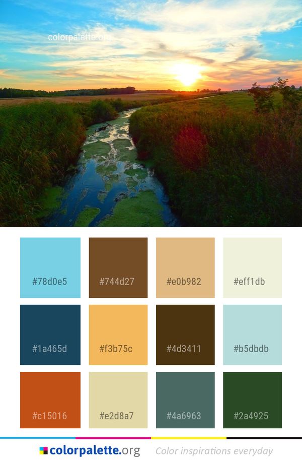 Nature Sky Reflection Color Palette