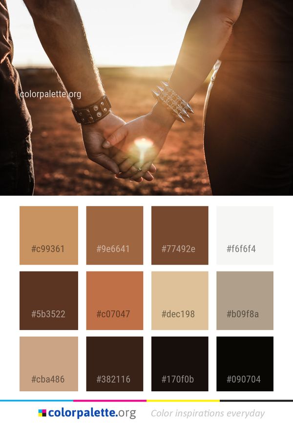 Photograph Hand Light Color Palette