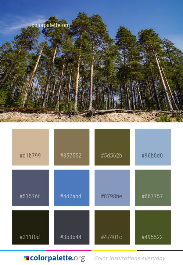 Tree Ecosystem Vegetation Color Palette