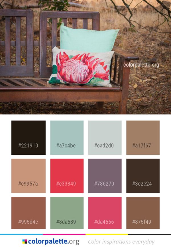 Furniture Chair Wood Color Palette