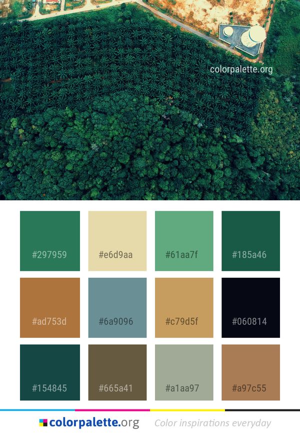 Green Vegetation Reef Color Palette