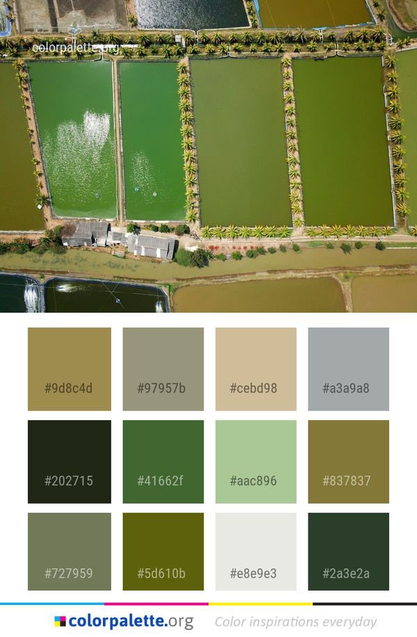 Green Water Structure Color Palette