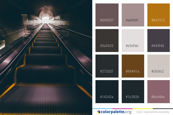 Light Symmetry Architecture Color Palette
