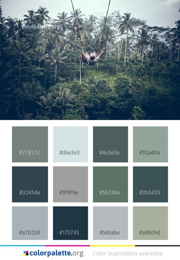 Nature Vegetation Tree Color Palette