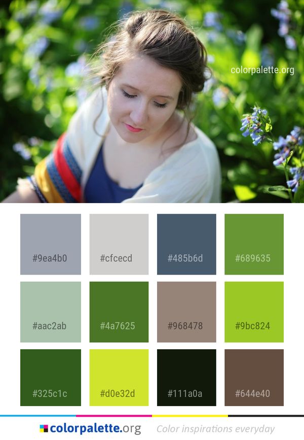 Photograph Flower Beauty Color Palette