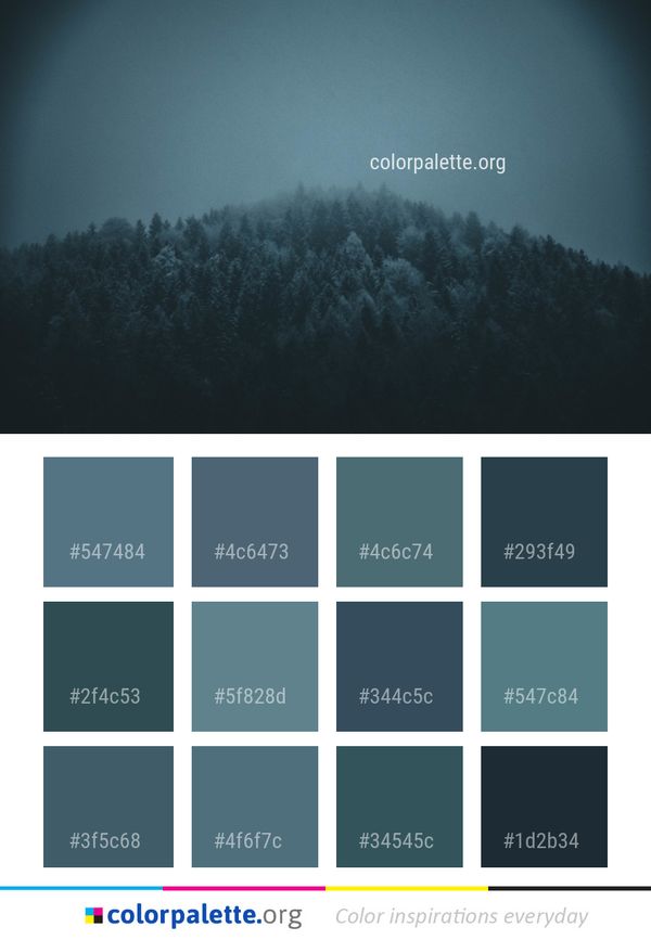 Sky Atmosphere Tree Color Palette
