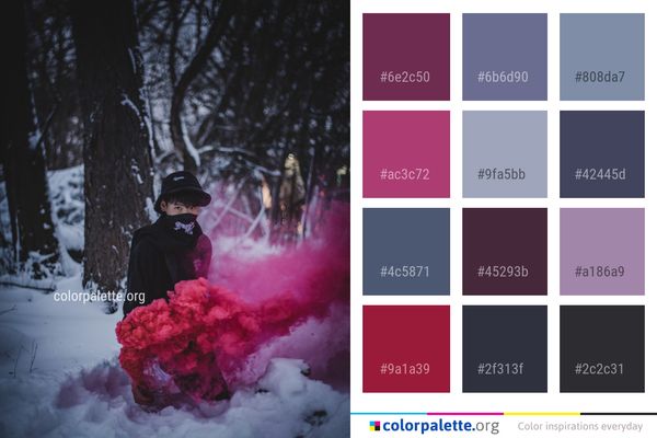 Snow Winter Freezing Color Palette
