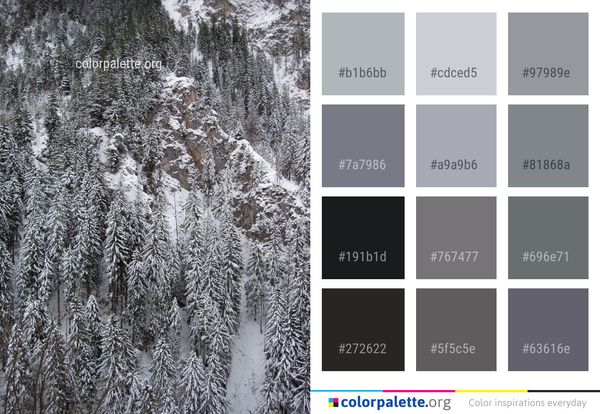 Winter Snow Frost Color Palette