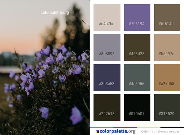 Flower Blue Plant Color Palette
