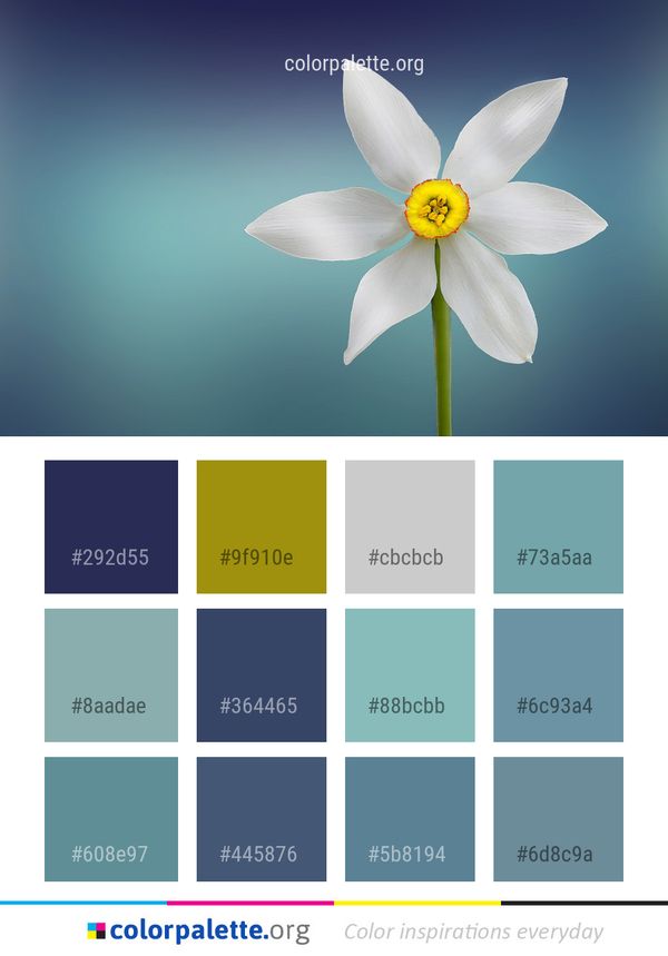 Flower White Flora Color Palette