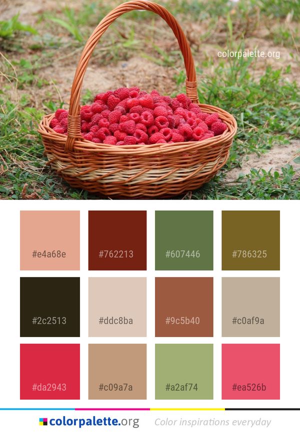 Fruit Berry Local Food Color Palette