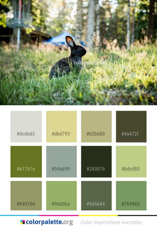 Grass Fauna Leaf Color Palette