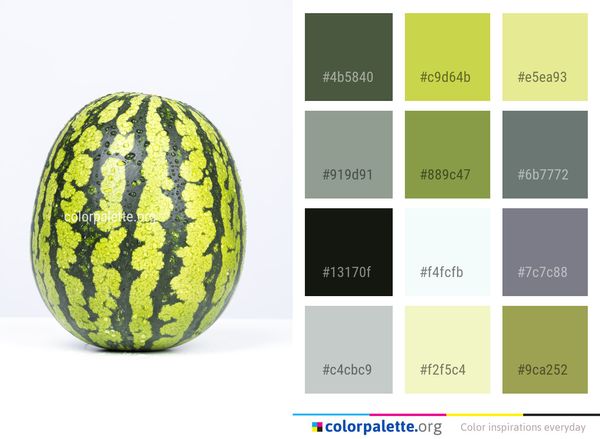 Melon Watermelon Produce Color Palette