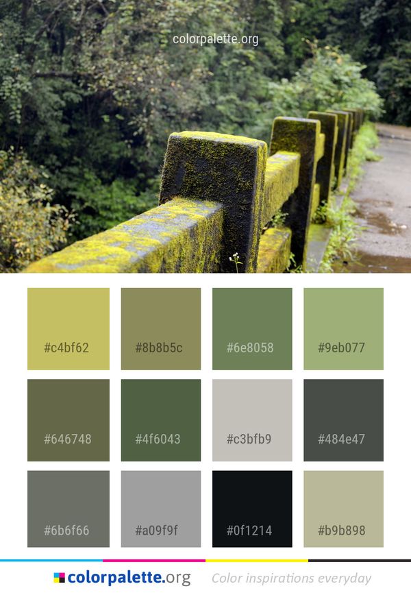 Nature Green Vegetation Color Palette