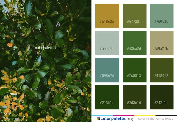 Plant Leaf Vegetation Color Palette