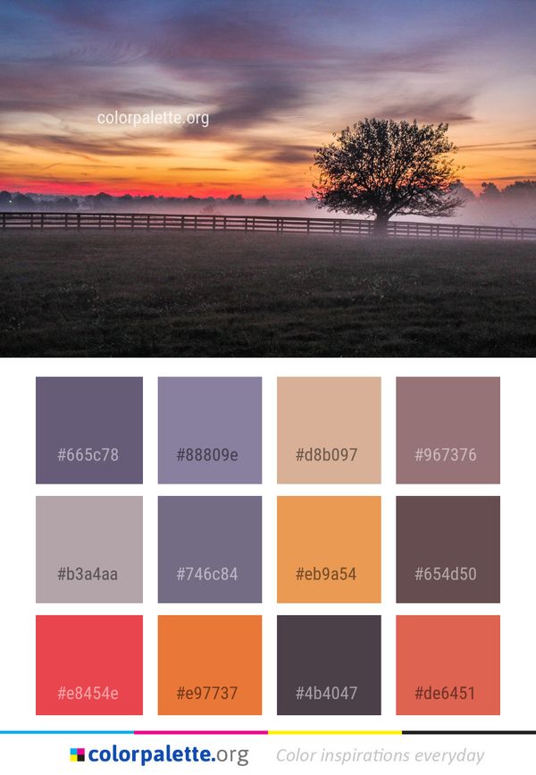 Sky Horizon Dawn Color Palette